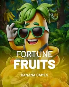 Gerenciamento de Fundos e Bônus na Plataforma potosi